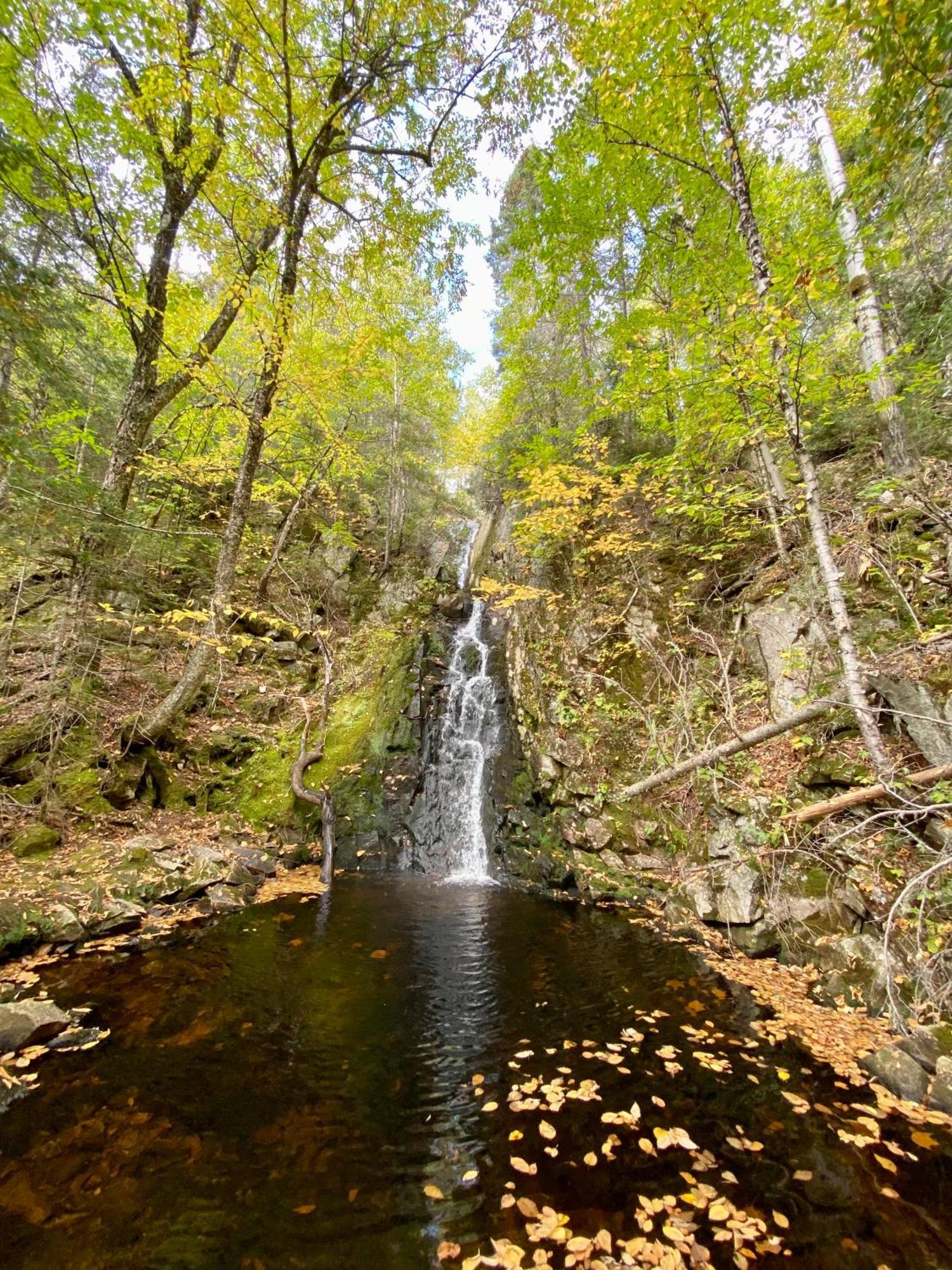Belle Maison Avec Vue Sur La Riviere LʼAnse-Saint-Jean Extérieur photo